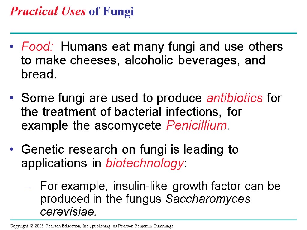 Practical Uses of Fungi Food: Humans eat many fungi and use others to make